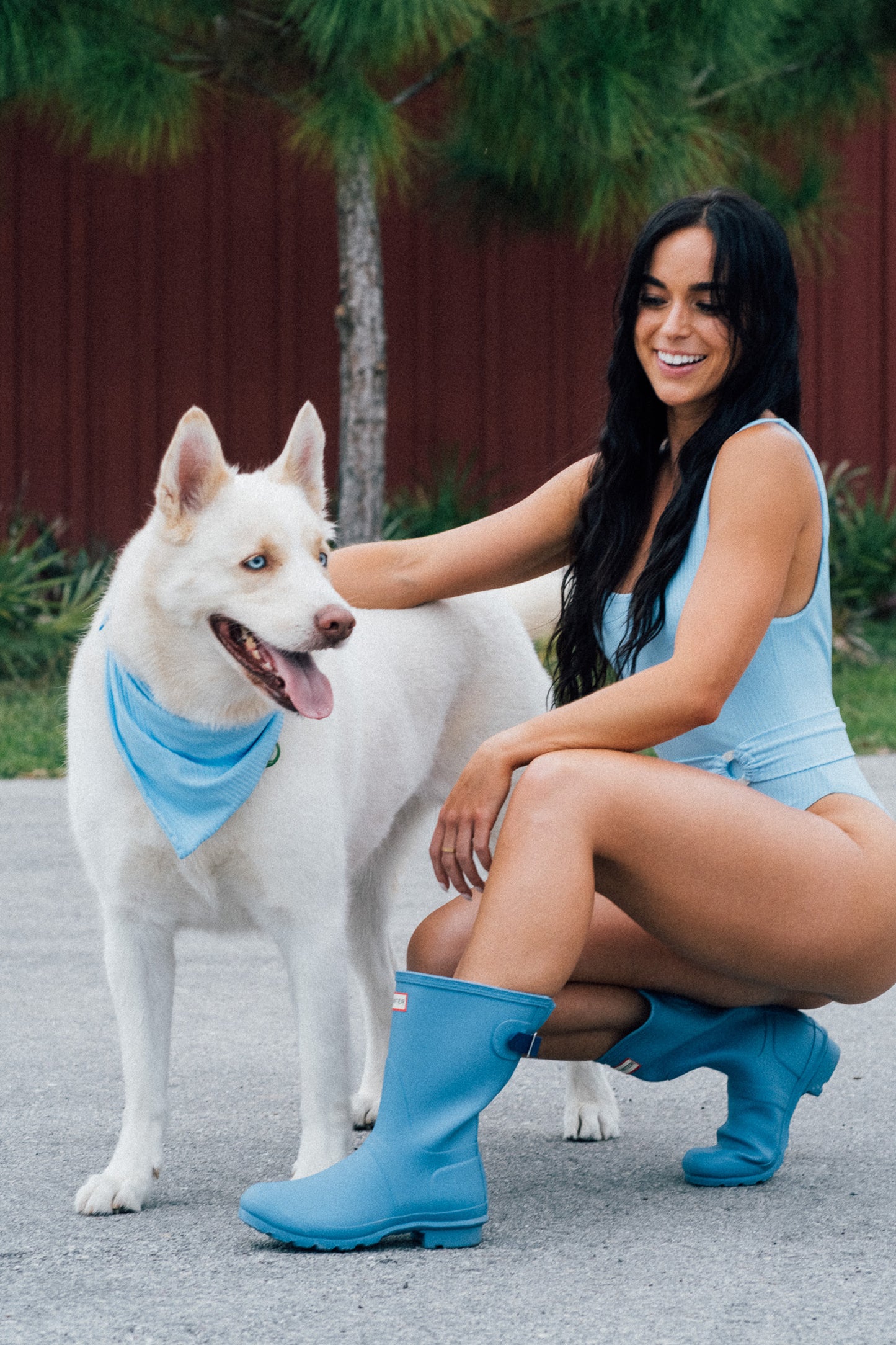 Dog Bandana - Sky Blue